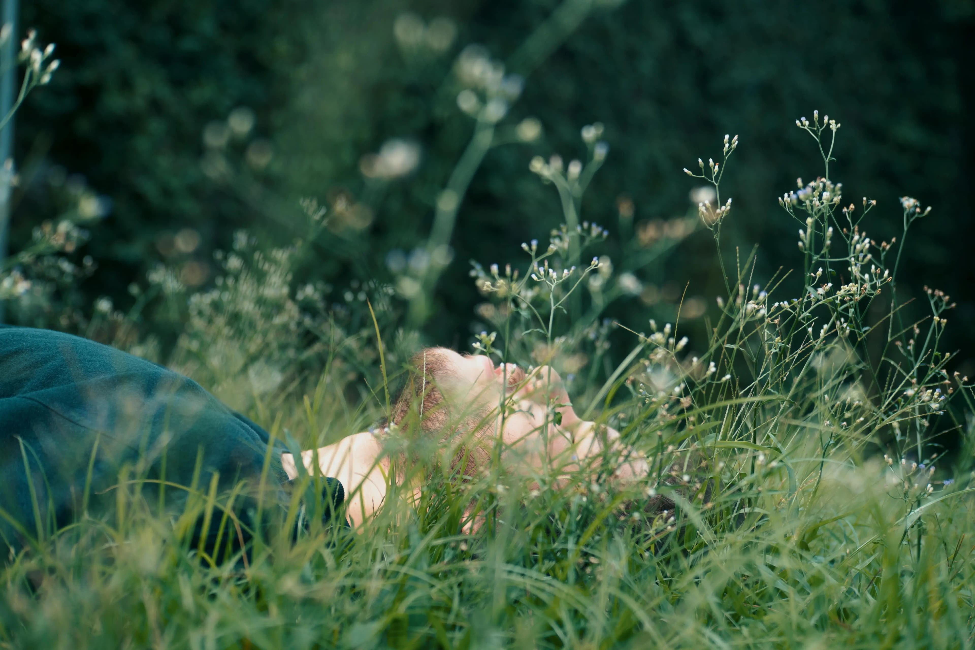 Kobe relaxing in a lush, overgrown field of tall grass and wildflowers.